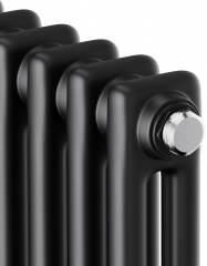 Стальной трубчатый радиатор 2-колончатый Royal Thermo Insignia C2180 - 12 секц. RAL9005m, боковое 1/2