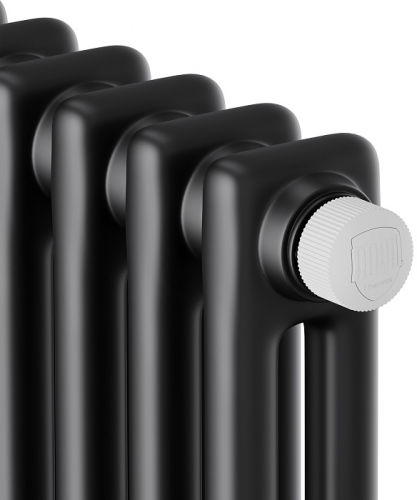 Стальной трубчатый радиатор 2-колончатый Royal Thermo Insignia VC2180 - 04 секц. RAL9005m, нижнее 1/2
