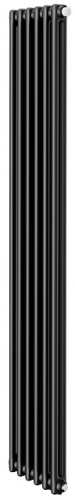 Стальной трубчатый радиатор 2-колончатый Royal Thermo Insignia VC2180 - 06 секц. RAL9005m, нижнее 1/2