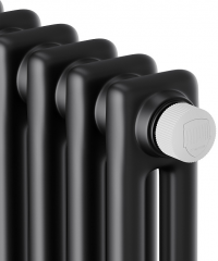 Стальной трубчатый радиатор 2-колончатый Royal Thermo Insignia VC2180 - 08 секц. RAL9005m, нижнее 1/2