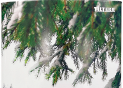 Газовый проточный водонагреватель VilTerm S11 Print (Зимний дом)